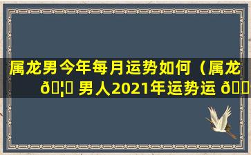 属龙男今年每月运势如何（属龙 🦅 男人2021年运势运 🐶 程每月运程）